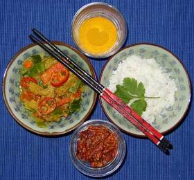 Vegetarisches Winter Curry